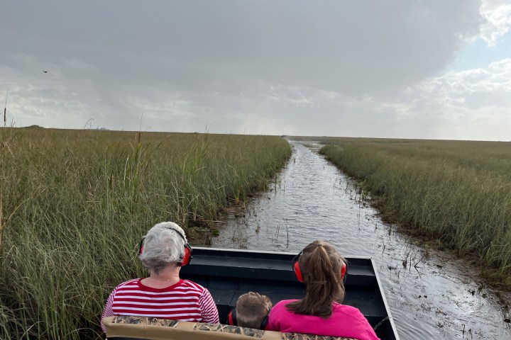 a group of people sitting in the grass